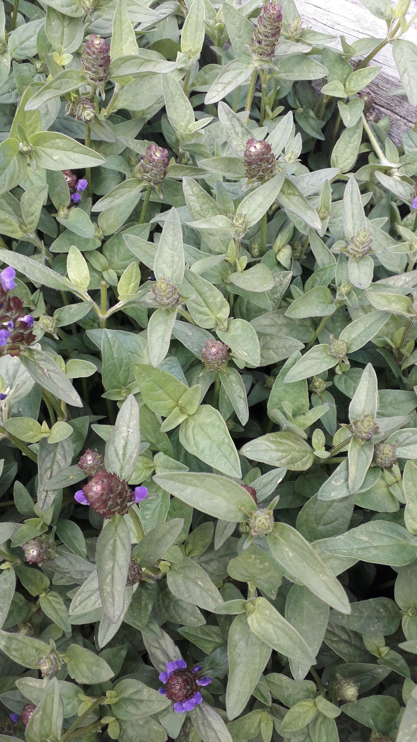 Self heal