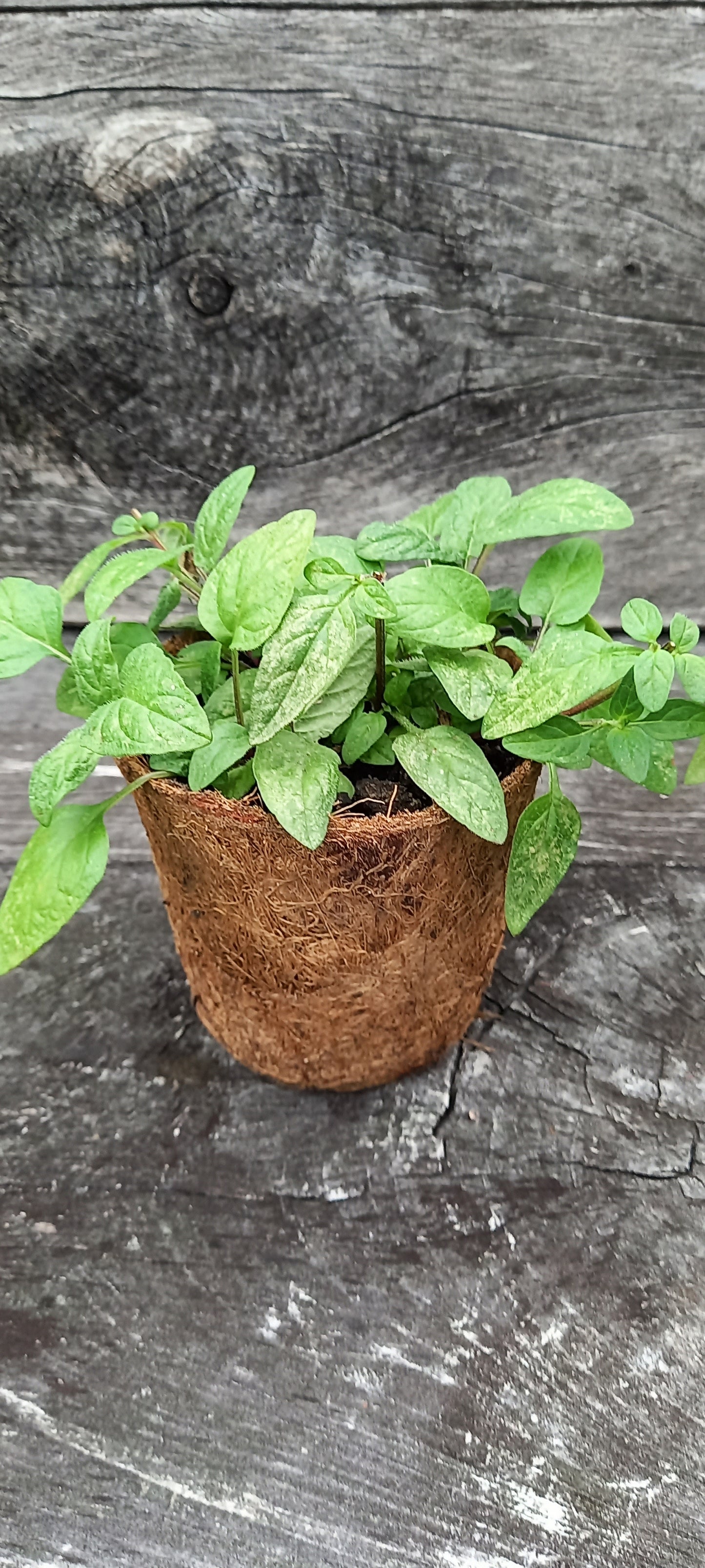 Self heal