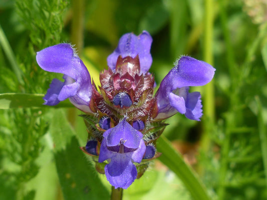 Self heal