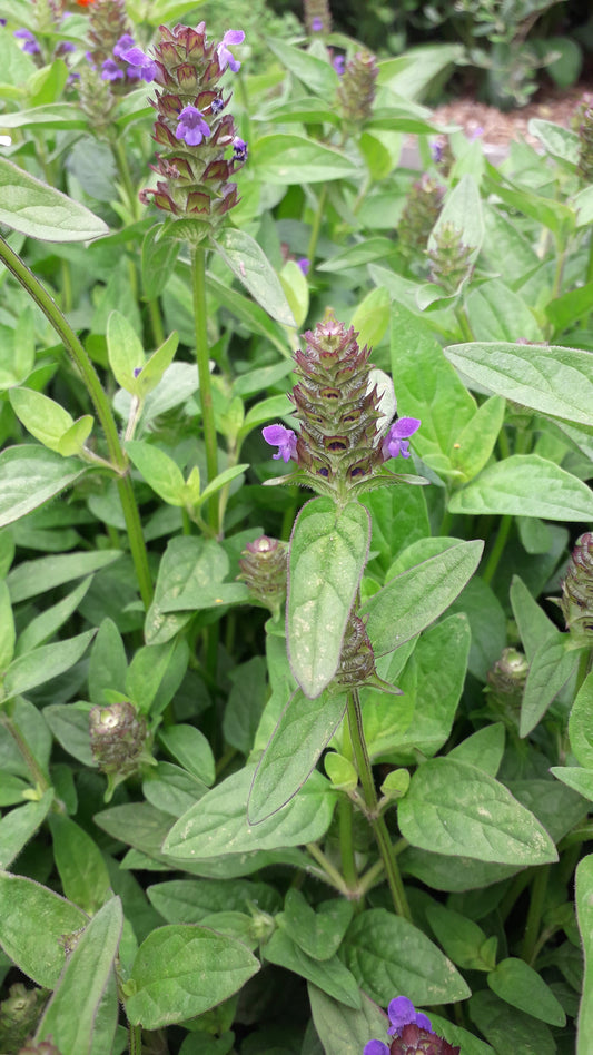 Self heal