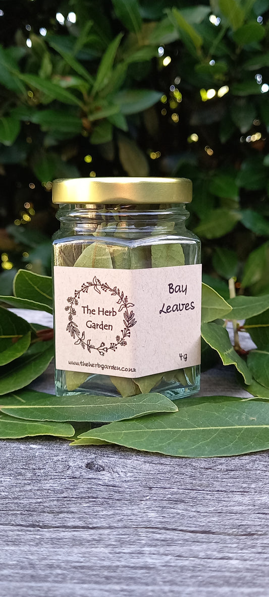 Dried Bay leaves